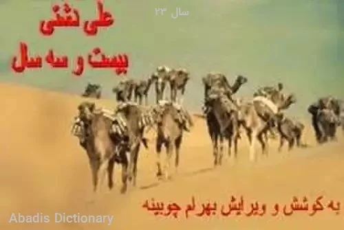 ۲۳ سال